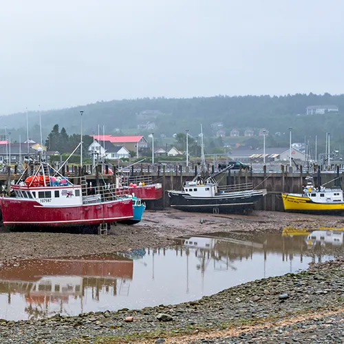 Newbrunswickalma 3
