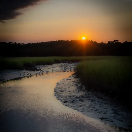 Sunsethbsp 11