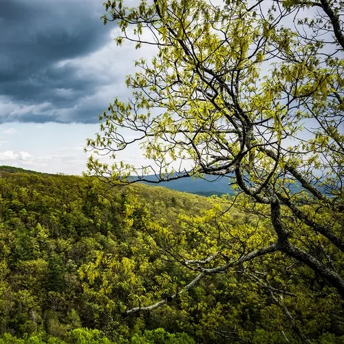 Blue Ridge 6