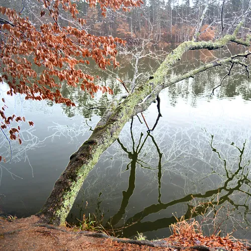 Coriher Park 4