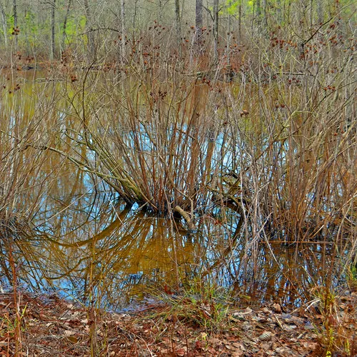 Wildlife Access 8
