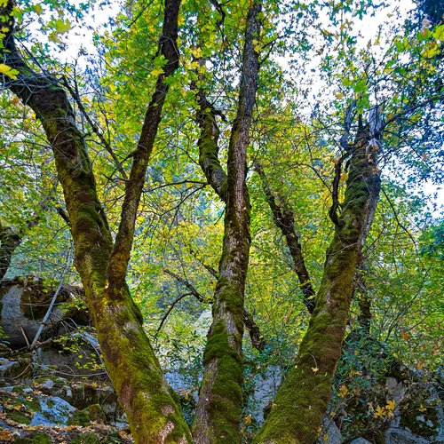 Yosemite 69
