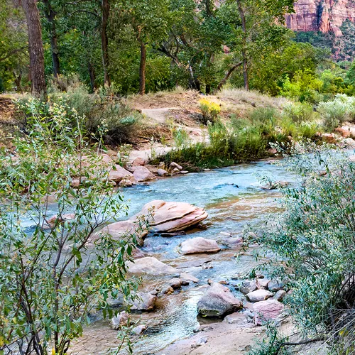 Zion 3