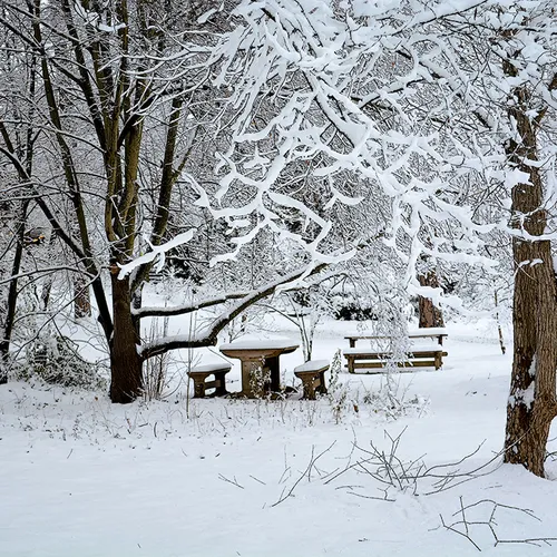 Hurley Snow 2015