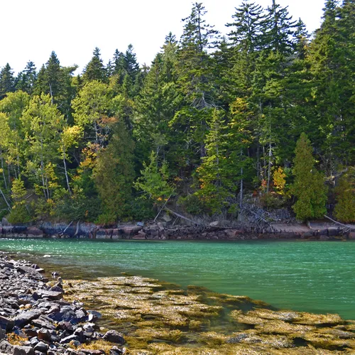 Acadia Pond 1