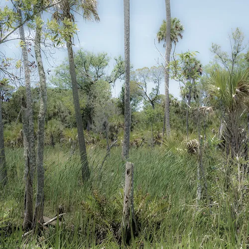 Crystalriver 1