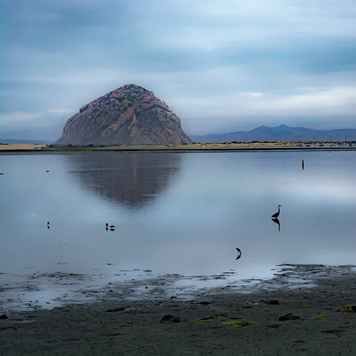 Morrobay 7