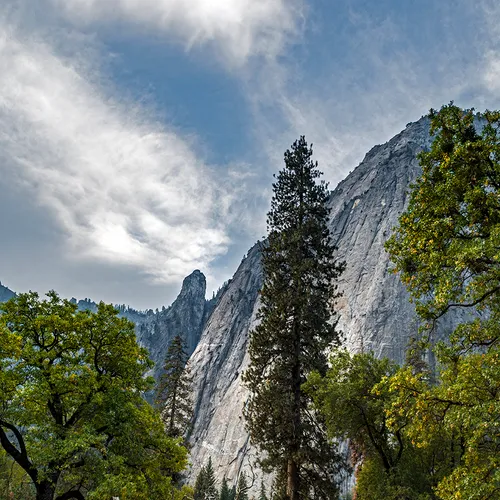 Yosemite 45