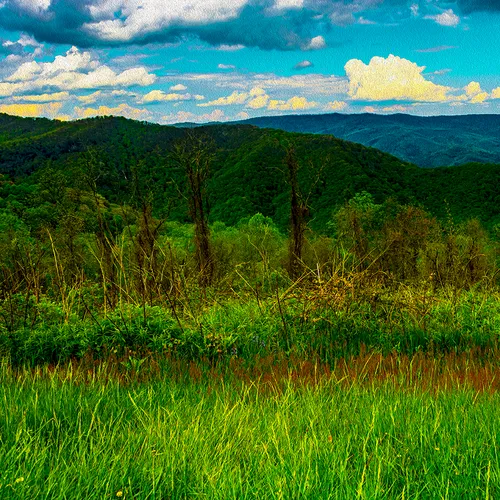 Blue Ridge 5