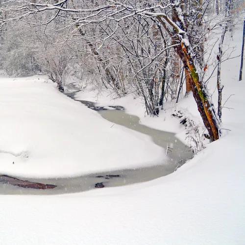 Yard Snow 3
