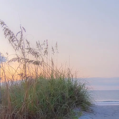 Sunrisehbsp 42