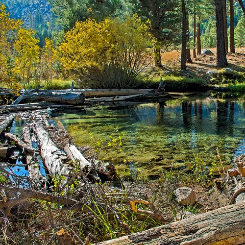 Yosemite 19
