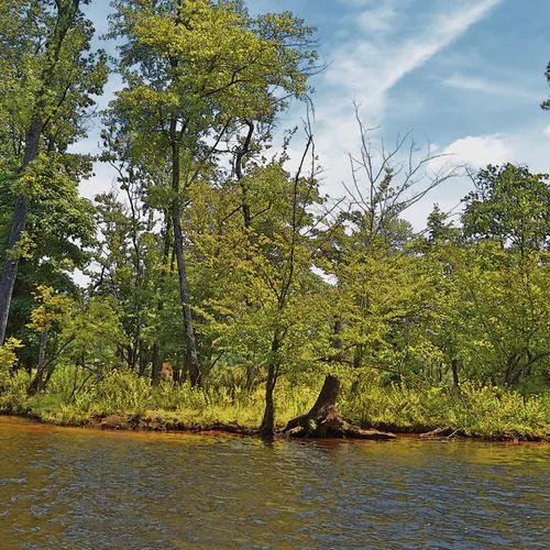 Yadkin-Peedee 24