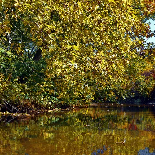 Kayaking 3