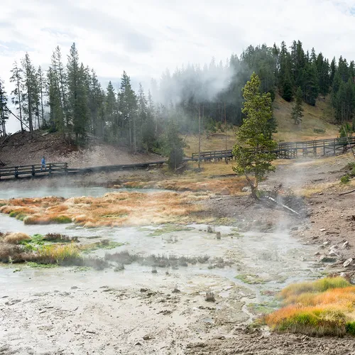 Yellowstone 40