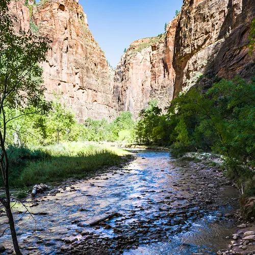 Zion 35