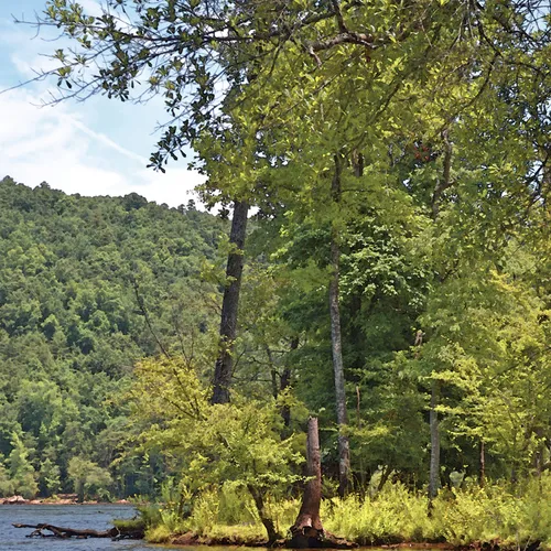 Yadkin-Peedee 27