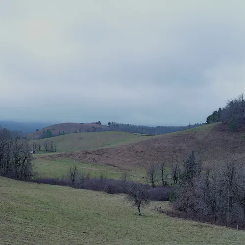 Blue Ridge 3 Field