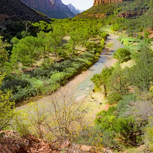 Zion 27