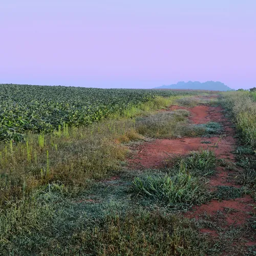 Dirtroad Cc