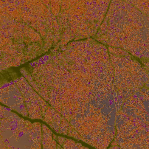 Abstract Limbs