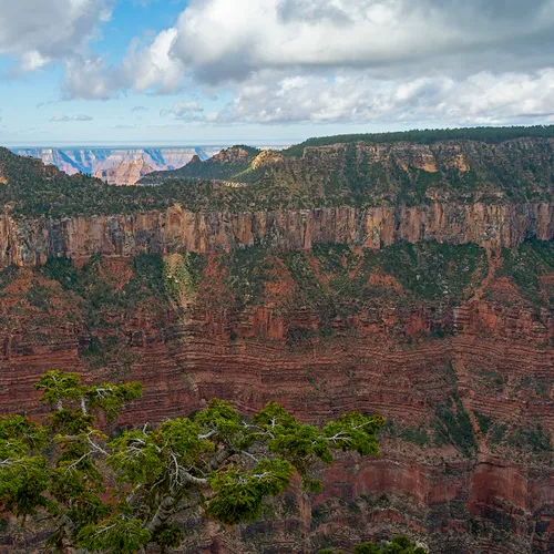 Northrim 14