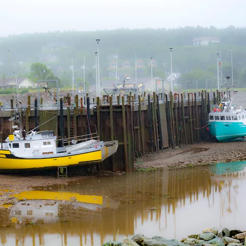 Newbrunswickalma 4