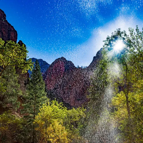 Zion 7