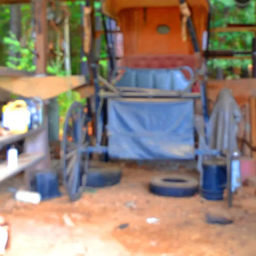 Buggie 3