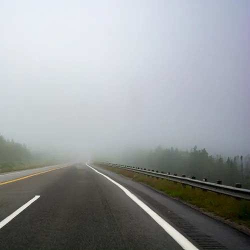 Newfoundlandport 8