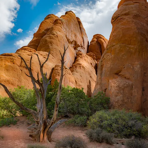 Arches 24
