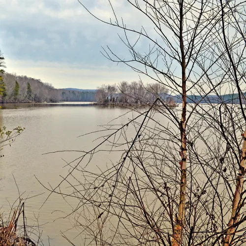 Wildlife Access 2