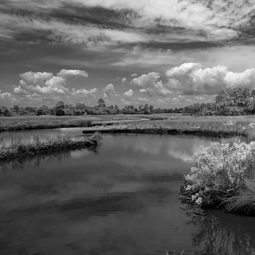 Cedarkey 2 B&W