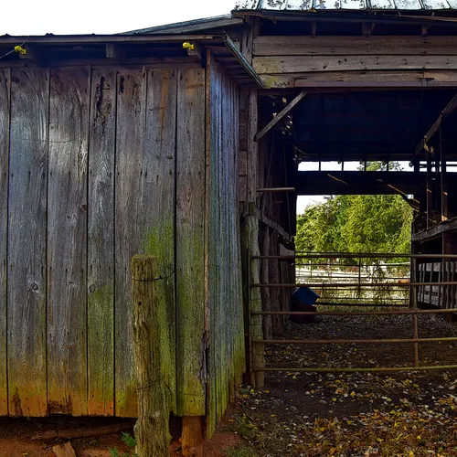 Poteat Barn 5