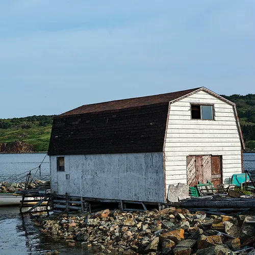 Twillingate 50