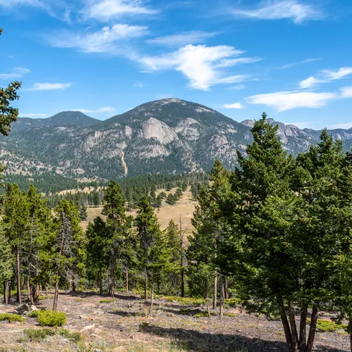 Rockymtn 1