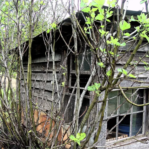 Shed Poster Edge