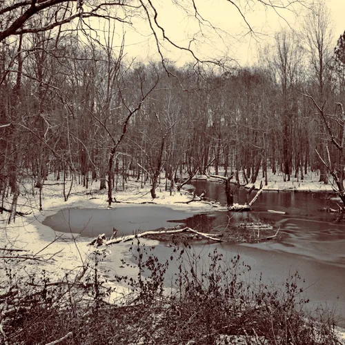Snow 24