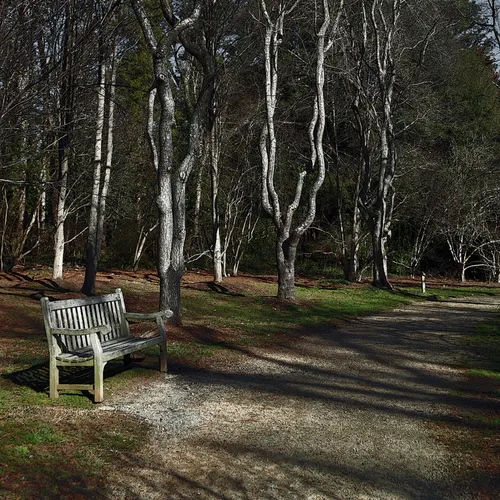 Hurley Park Bench 2