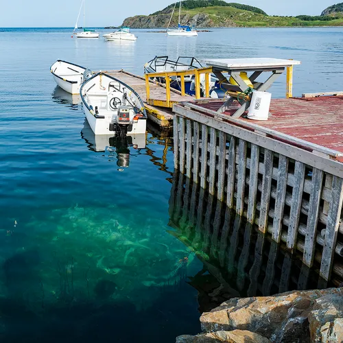 Twillingate 60
