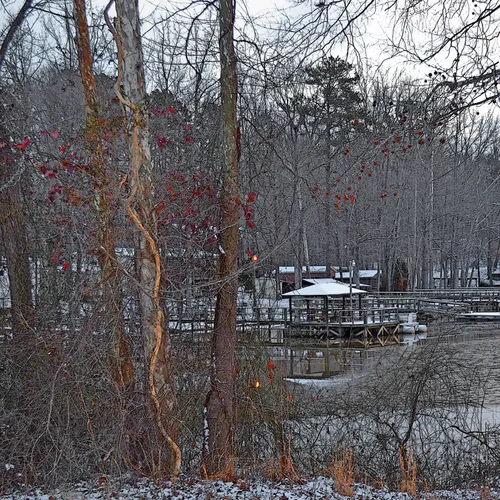 Snow 26
