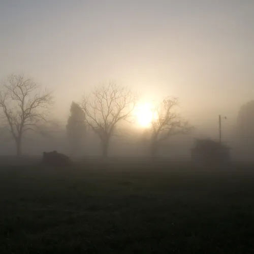 Fog 19 Th Noise Reduce