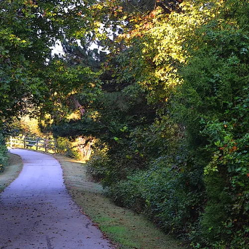 Trail 2