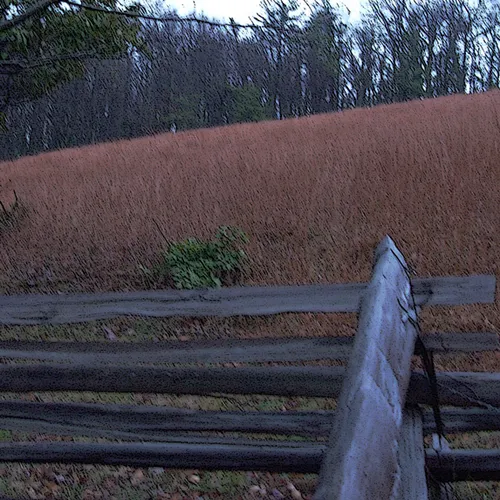 Fence