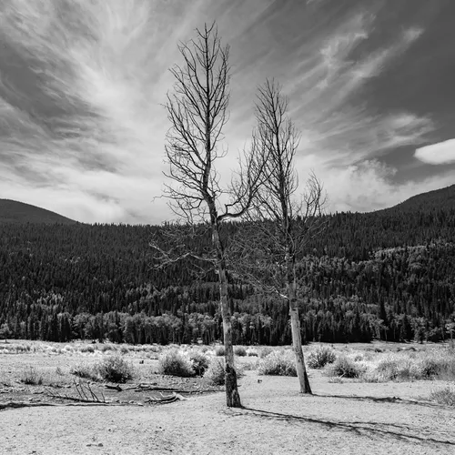 Estes 1 B&W