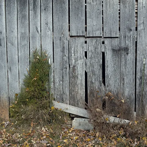 Barnside