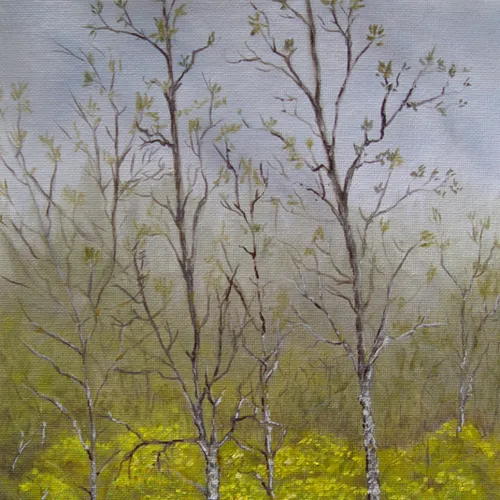 Greenway 1
