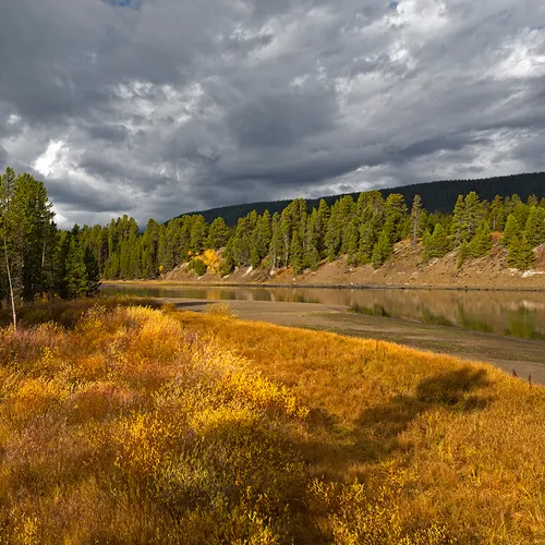 Yellowstone 51