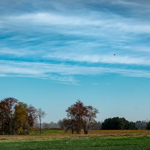 Woodleaffarm 1
