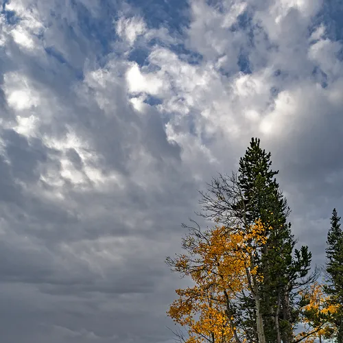 Yellowstone 33